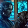Keanu Reeves muốn nhân vật John Wick chắc chắn "ra đi" sau phần 4