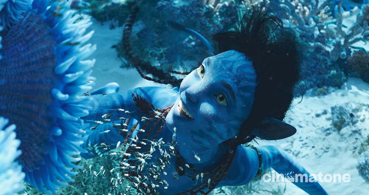 Kỹ xảo trong Avatar 2 đã nâng tầm thế nào và vì sao nó đắt đỏ?