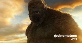 Đạo diễn Godzilla vs Kong đang đàm phán để làm tiếp một bộ phim cho MonsterVerse