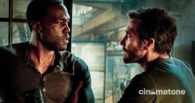 Jake Gyllenhaal tham gia phim remake của 'ông hoàng cháy nổ' Michael Bay