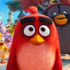 D&agrave;n ng&ocirc;i sao quen thuộc trở lại lồng tiếng trong Angry Birds phần 2