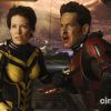 Doanh thu Ant-man 3 cho thấy dấu hiệu đ&aacute;ng lo ngại với thương hiệu si&ecirc;u anh h&ugrave;ng Marvel