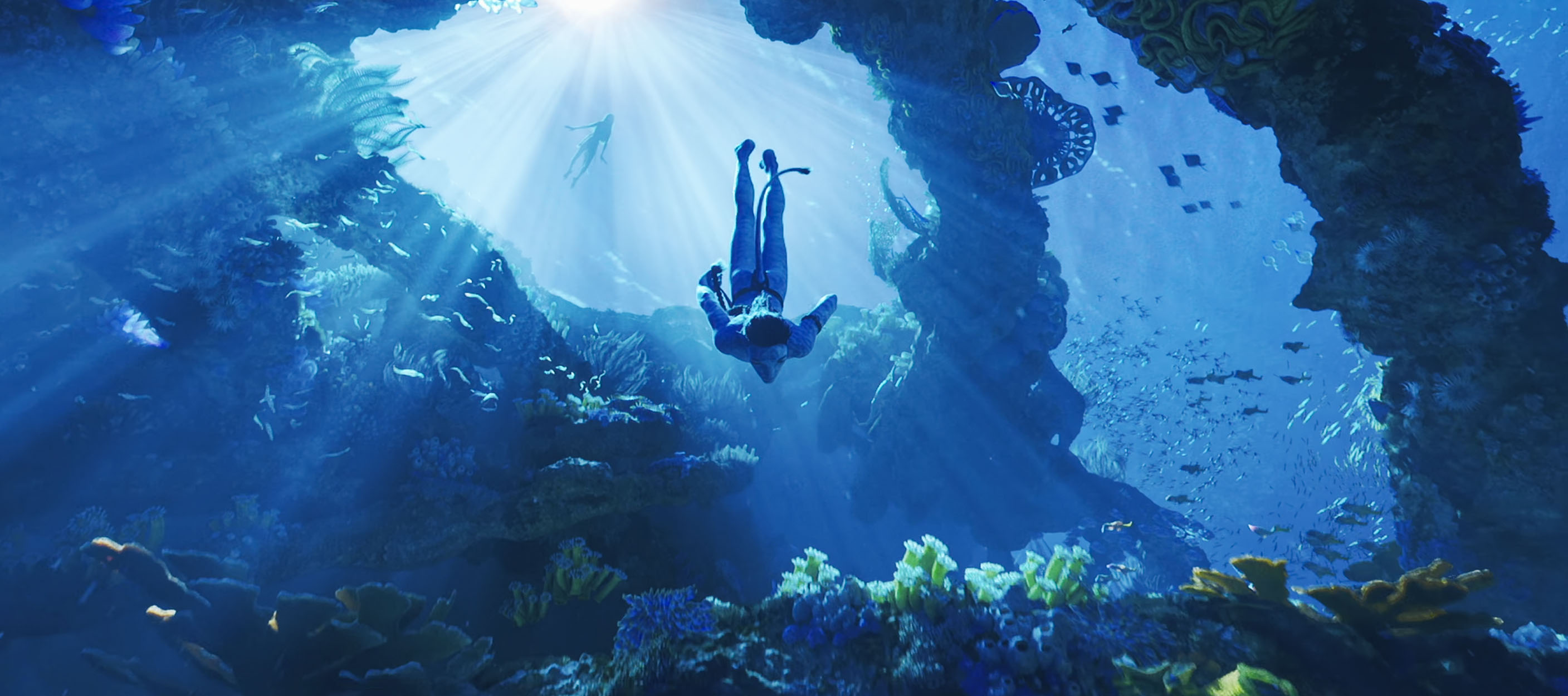 Avatar 2 mang đến công nghệ nắm bắt chuyển động dưới nước vượt bậc