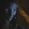 Hình ảnh Zoe Saldana trong phim Avatar: The Way of Water