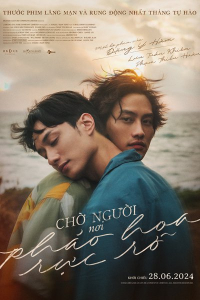 Chờ người nơi pháo hoa rực rỡ